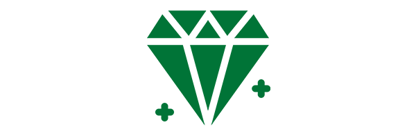 <b>CORE VALUES</b>